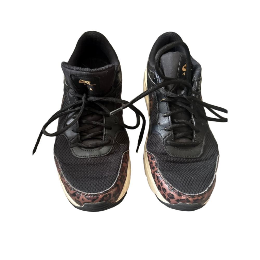 Nike Air Max SC shoes